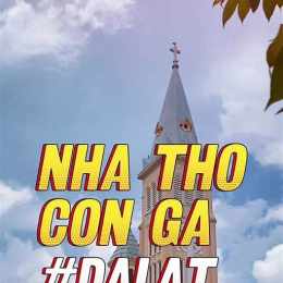 nhà thờ con gà đà nẵng màu hồng