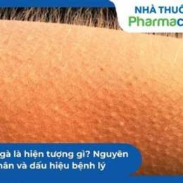 nổi da gà là hiện tượng gì sinh học 8