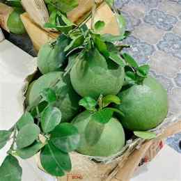 nộm bưởi da xanh bến tre gà xé