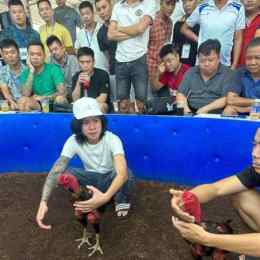 ô đại ca với tía quan văn đá gà