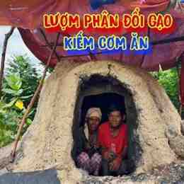 ở nơi chó ăn đá gà ăn sỏi