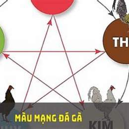 phần biết màu mạng gà đá
