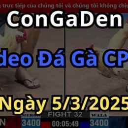 phat lai da ga hom nay cpc2