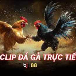 phát lại đá gà trực tiếp