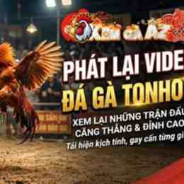 phát lại đá gà xà xía