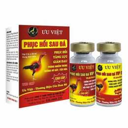 phục hồi sau đá cho gà chọi