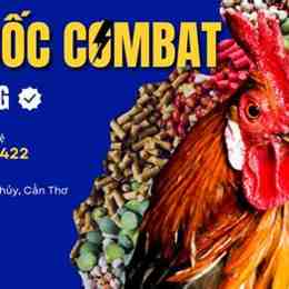 shop thuốc gà đá hcm
