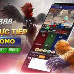 sv388 casino đá gà