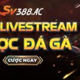 sv388 đá gà thomo one