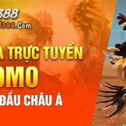 sv388 link đá gà thôm