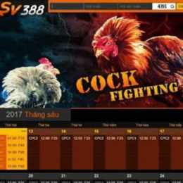 sv388 llc đá gà