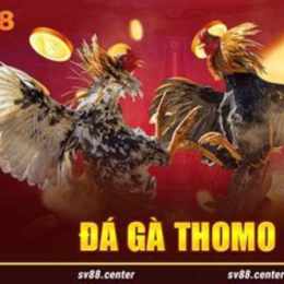 tải trang đá gà thomo
