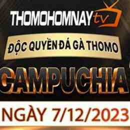 thomohomnay | trực tiếp đá gà thomo hôm nay
