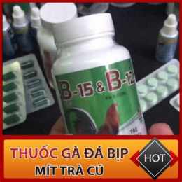 thuốc b15 cho gà đá