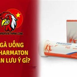 thuốc cho gà uống trước khi đá