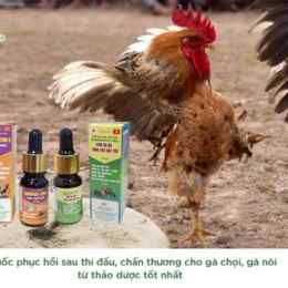thuoc dung cho ga da