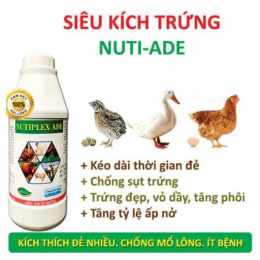 thuốc kích thích gà đá