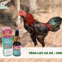 thuoc nho ga da tot nhat hien nay