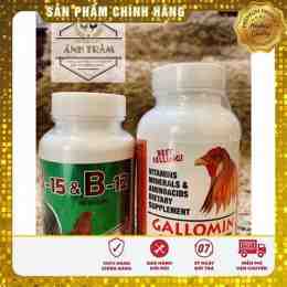 thuốc nuôi gà đá b12 b15