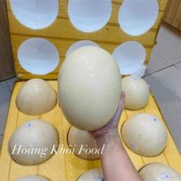 tính năng nổi bật 1 trứng đà điểu bằng bao nhiêu trứng gà