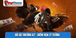 tính năng nổi bật 67 đá gà 67