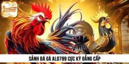 tính năng nổi bật alo 789 đá gà trực tiếp