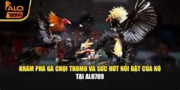 tính năng nổi bật alo789 - nhà cái trực tiếp đá gà thomo campuchia