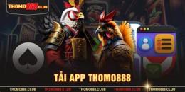 tính năng nổi bật app đá gà thomo uy tín
