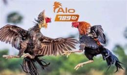 tính năng nổi bật bài đánh giá về alo789 đá gà