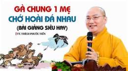 tính năng nổi bật bài hát gà chung một mẹ chớ hoài đá nhau
