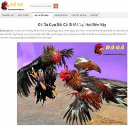 tính năng nổi bật bat da ga moi nhat 2016