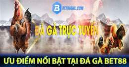 tính năng nổi bật bet88 đá gà bet88pro.one