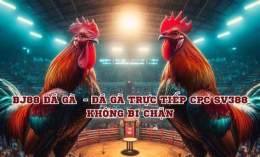 tính năng nổi bật bj88 truc tiep da ga