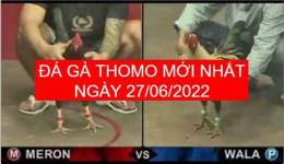 tính năng nổi bật bóng đá trực tiếp đá gà thomo