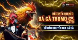 tính năng nổi bật c5 đá gà trực tiếp