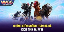 tính năng nổi bật cá cược đá gà trên w88