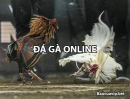 tính năng nổi bật cá độ đá gà online