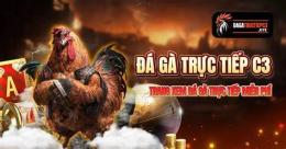 tính năng nổi bật các trận gà đá giải c3 hôm nay