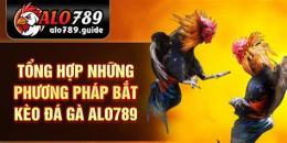 tính năng nổi bật cách bắt kèo đá gà