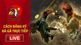 tính năng nổi bật cách đăng ký đá gà