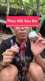 tính năng nổi bật cách phục hồi gà sau đá