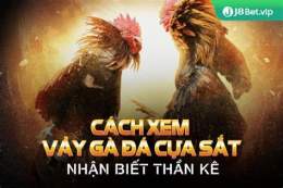 tính năng nổi bật cách xem mặt gà đá cựa sắt