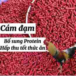 tính năng nổi bật cám cho gà đá