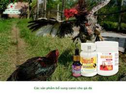 tính năng nổi bật canxi cho gà đá