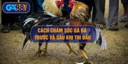 tính năng nổi bật cham soc ga da