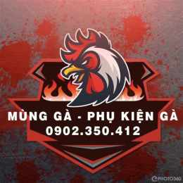 tính năng nổi bật cho tốt gà đá cần thơ