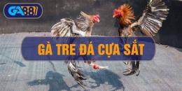 tính năng nổi bật chon ga da cua sat