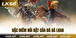 tính năng nổi bật chotot gà đá tphcm