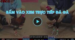 tính năng nổi bật chuc tiep da ga hom nai