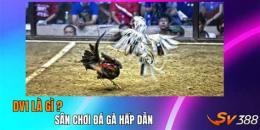 tính năng nổi bật clip đá gà mới nhất